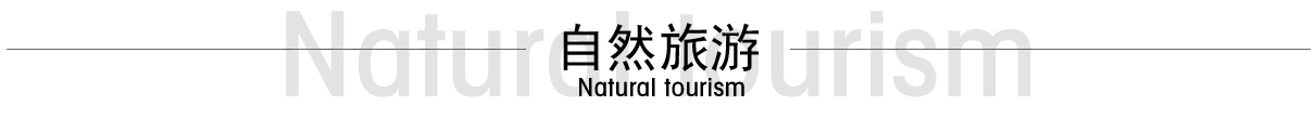 描述