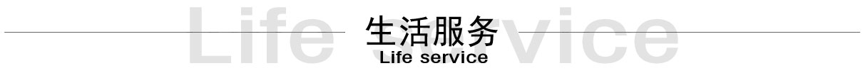 描述